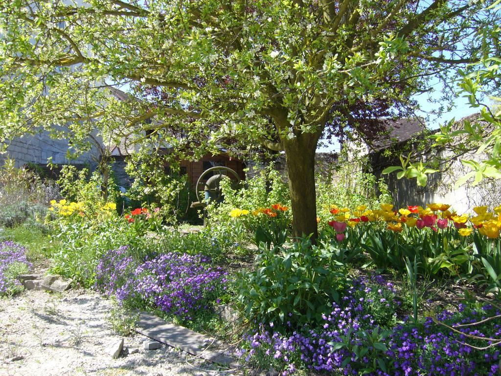 L'Instant Present Bed and Breakfast Pacy-sur-Armancon Buitenkant foto